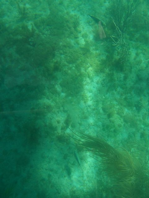100_2176.JPG