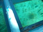100_2179.JPG