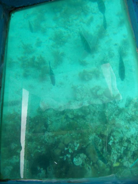 100_2187.JPG