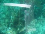 100_2188.JPG