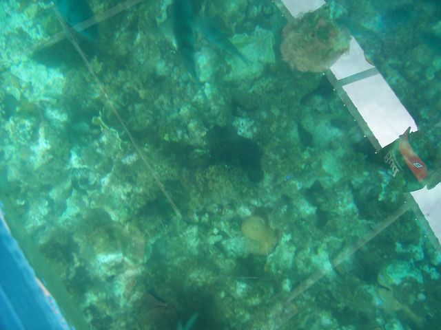 100_2192.JPG