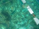 100_2193.JPG