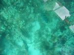 100_2196.JPG
