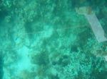 100_2197.JPG