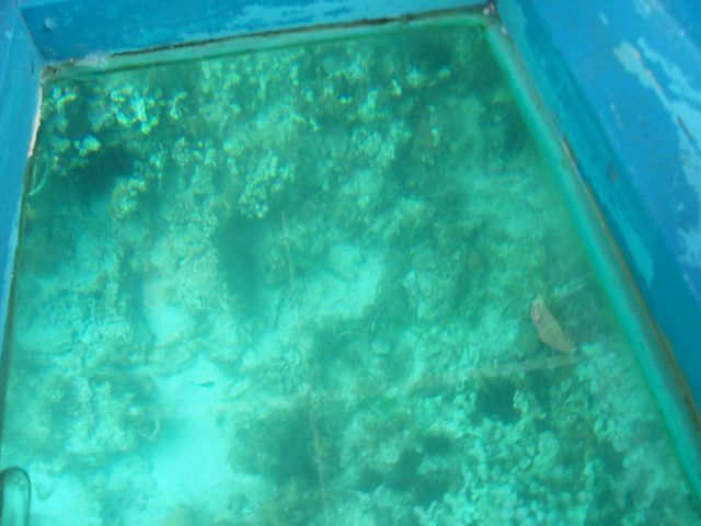 100_2198.JPG