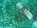 100_2199.JPG