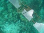 100_2200.JPG