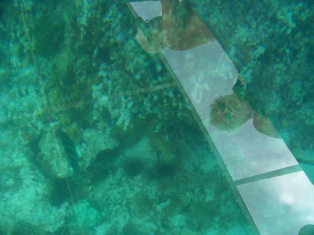100_2201.JPG