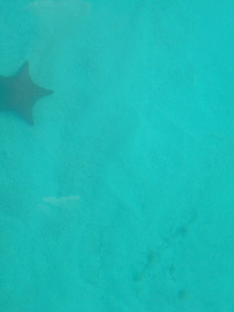 100_2207.JPG