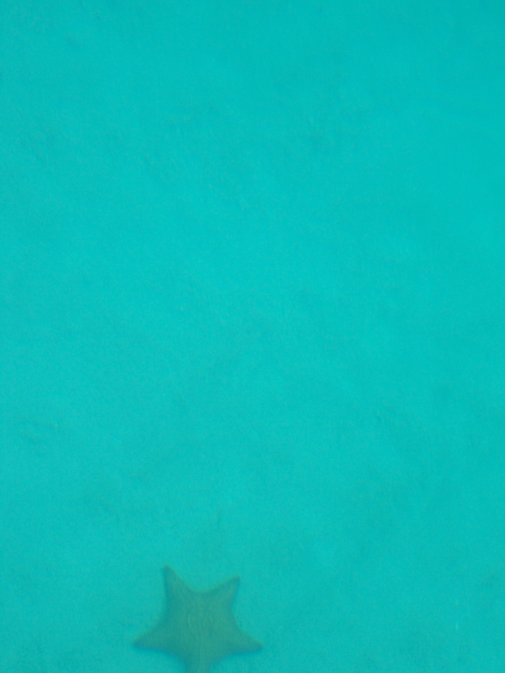 100_2210.JPG
