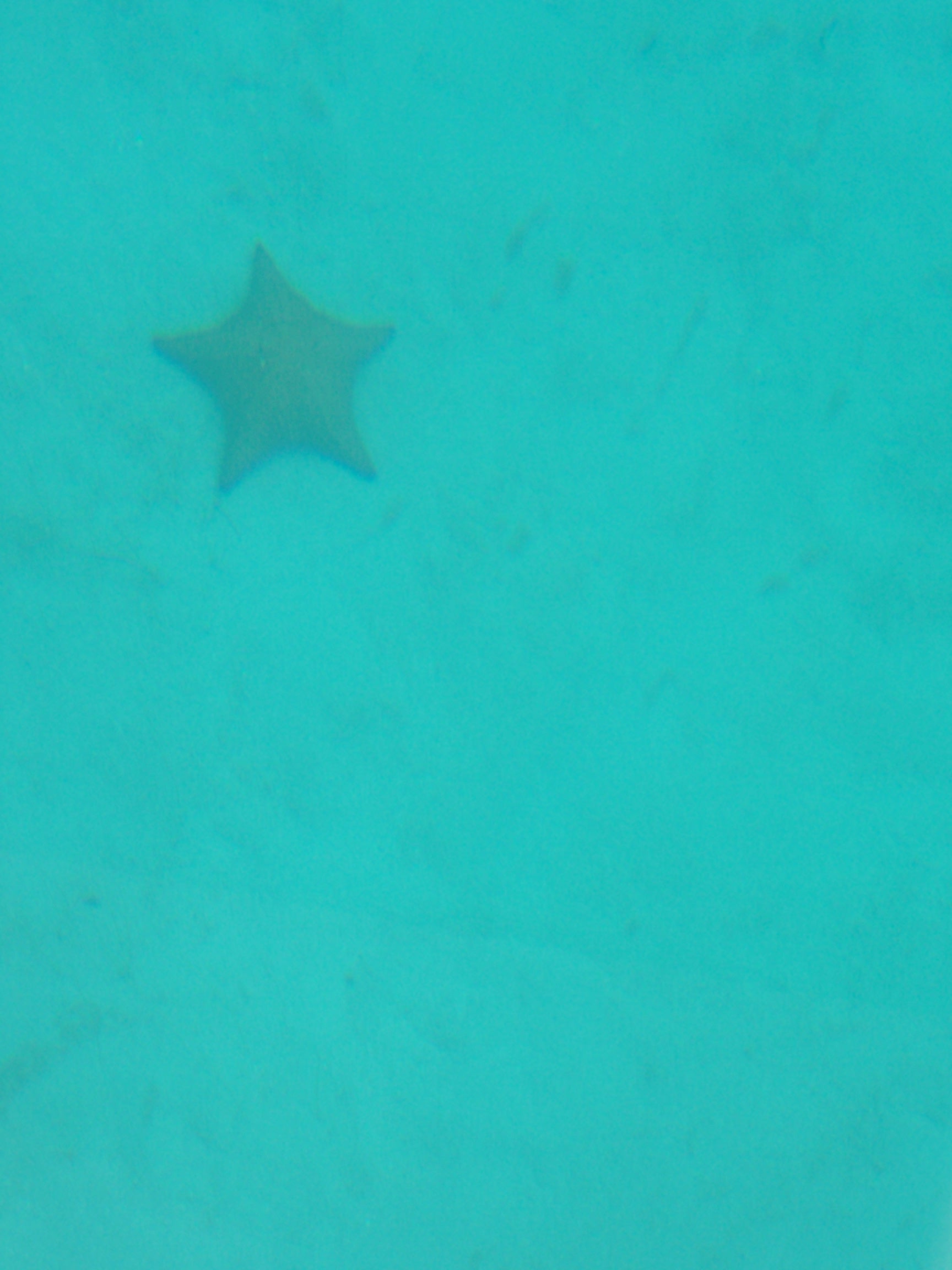 100_2212.JPG