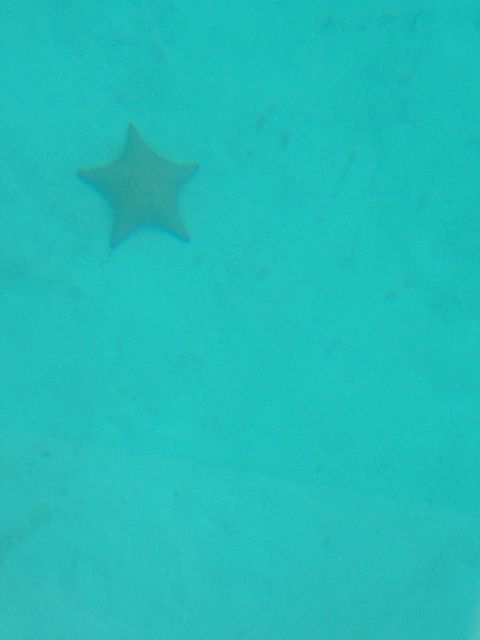 100_2212.JPG
