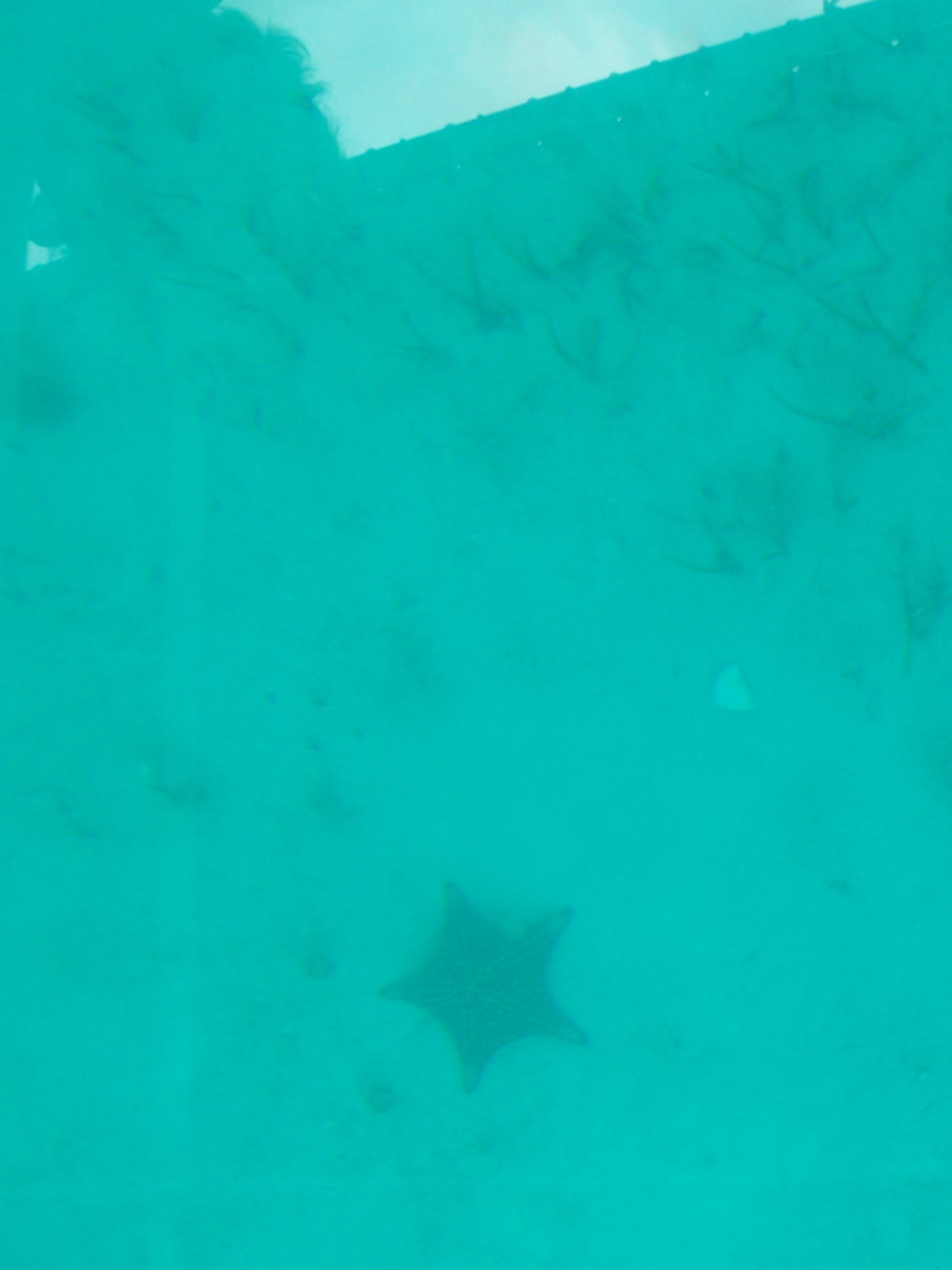 100_2213.JPG