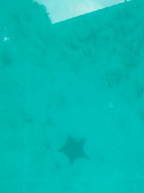 100_2213.JPG