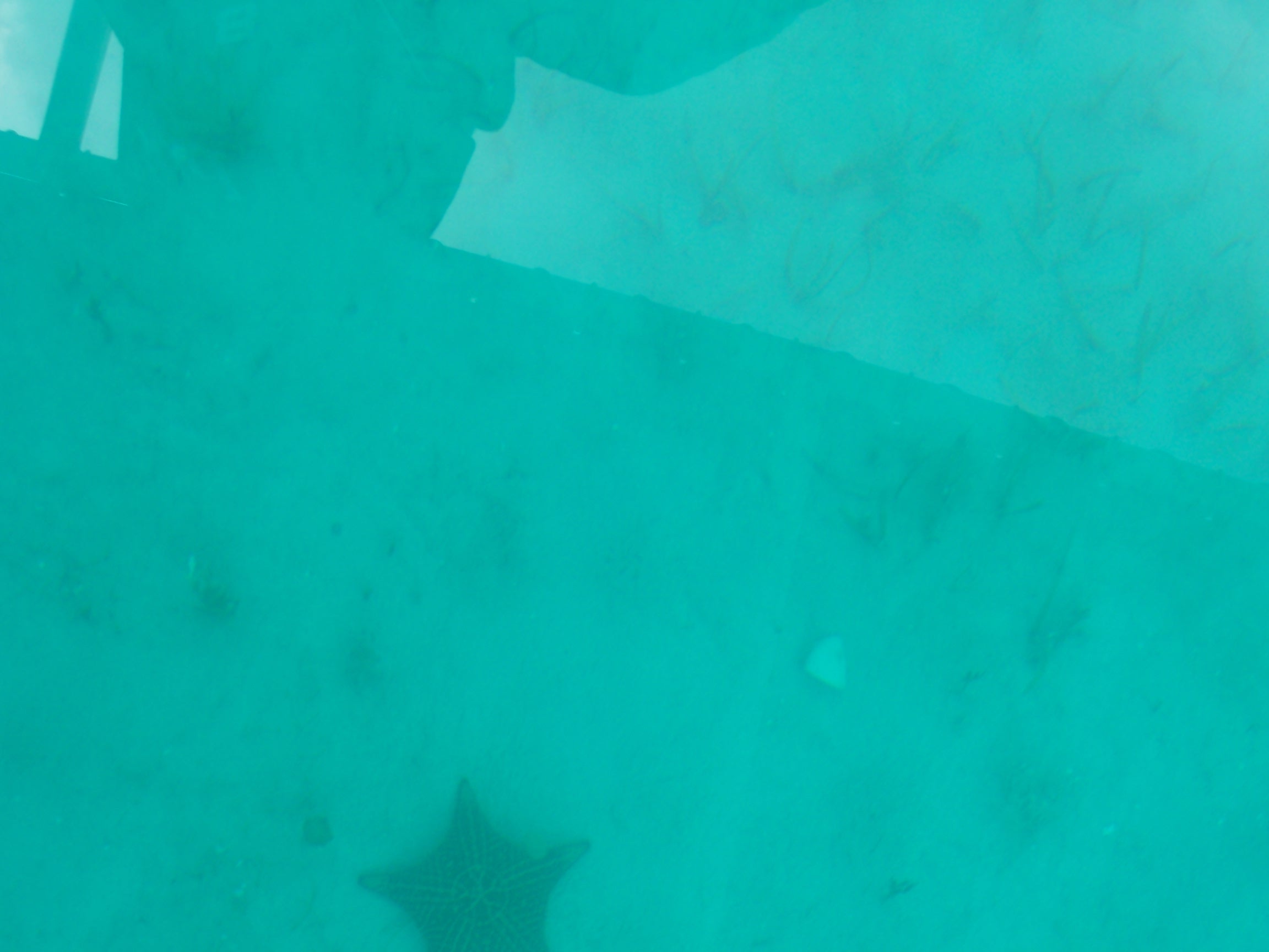 100_2214.JPG