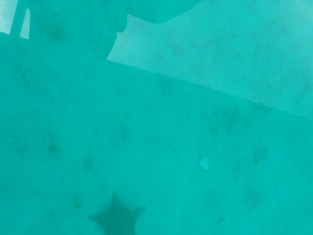 100_2214.JPG