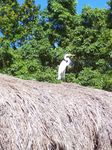100_1903.JPG