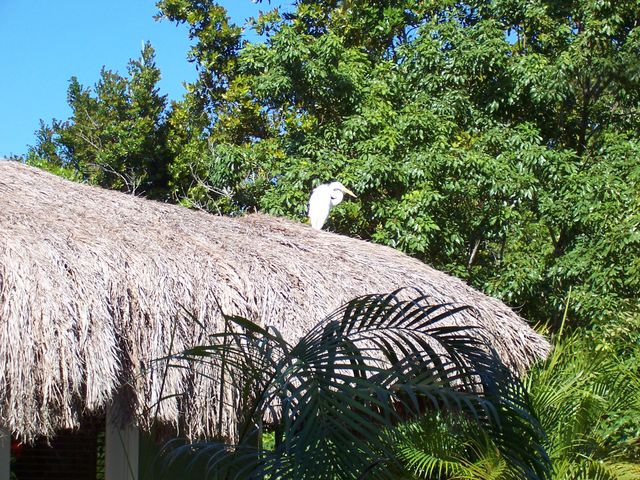 100_1906.JPG