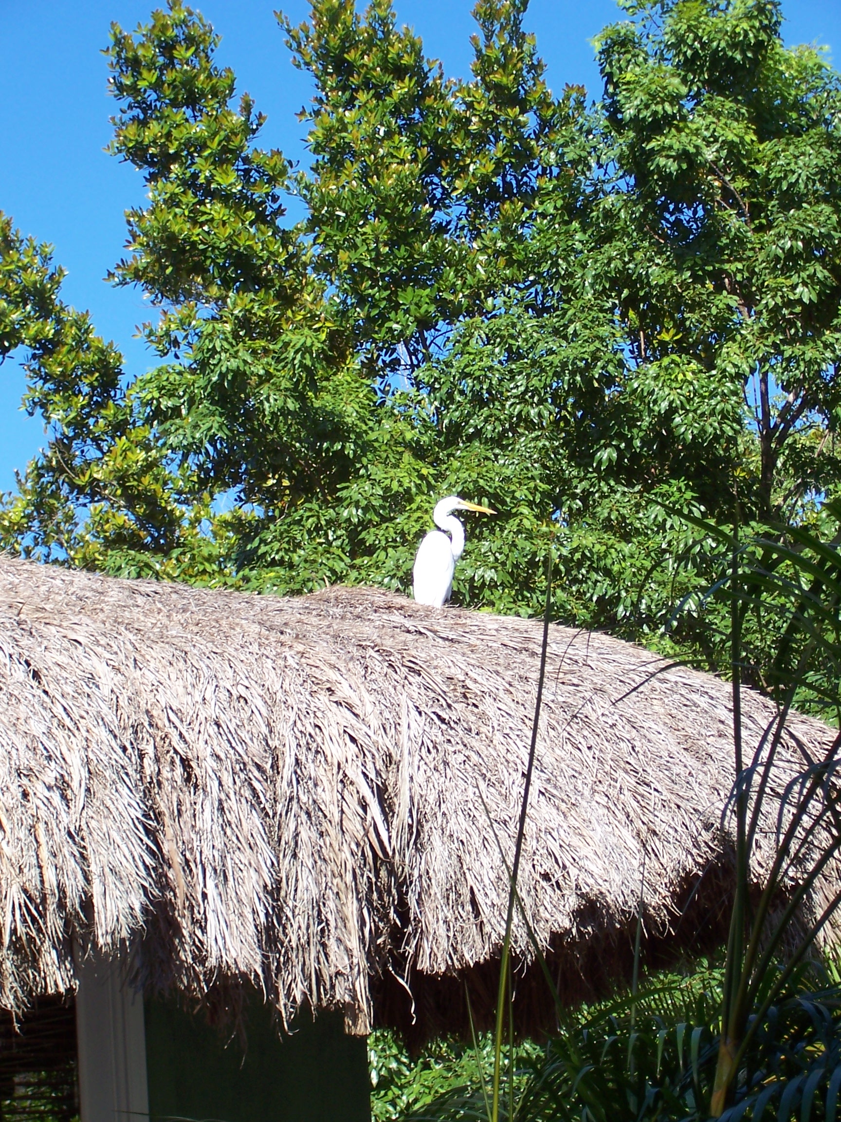 100_1909.JPG