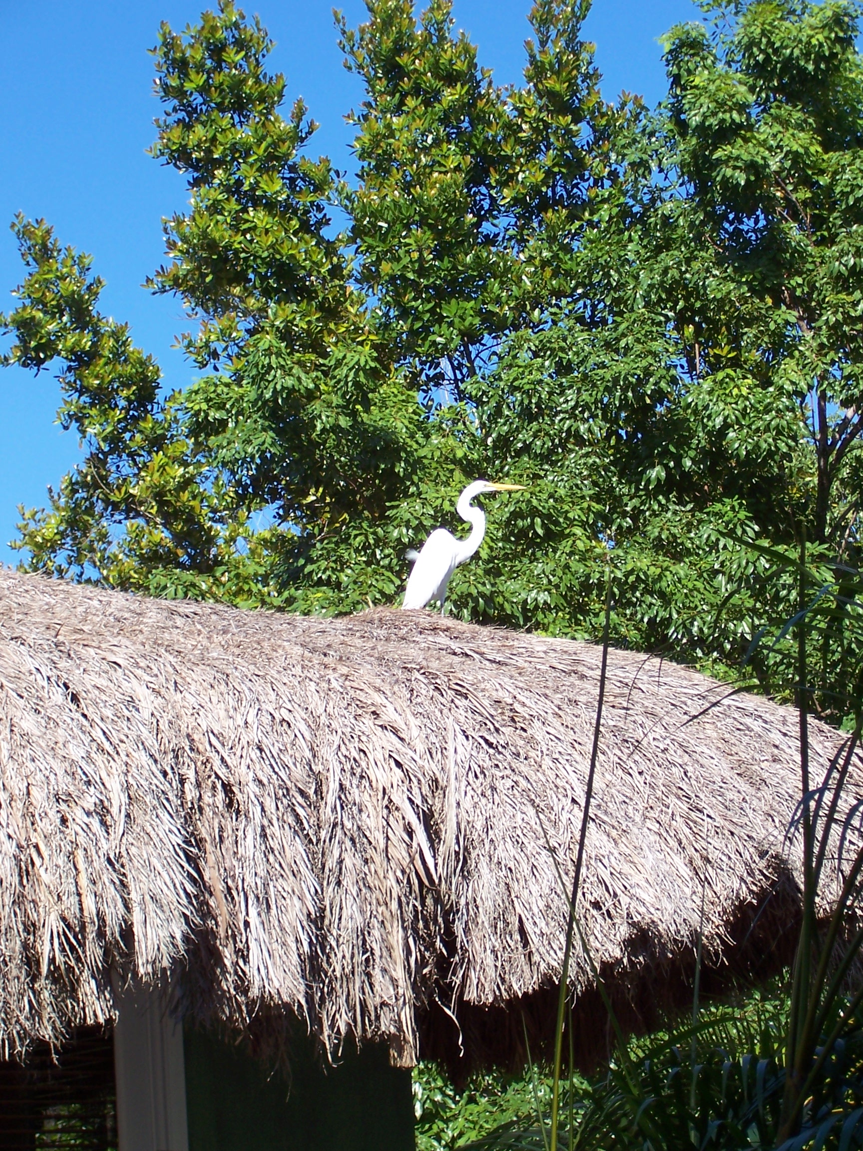 100_1910.JPG
