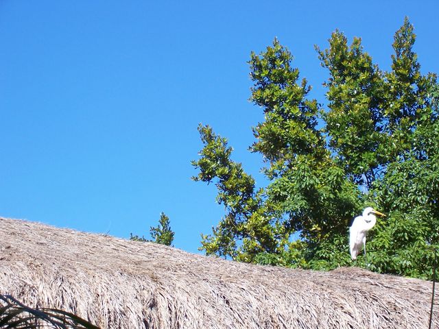 100_1912.JPG