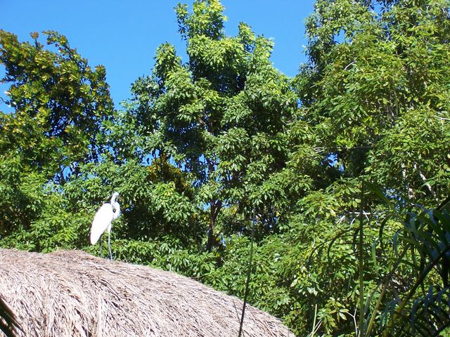 100_1914.JPG