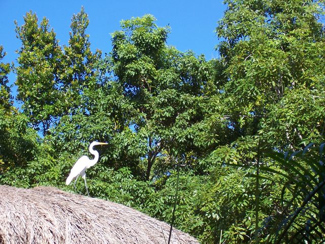 100_1915.JPG