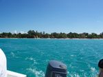 Out To Sea 1
