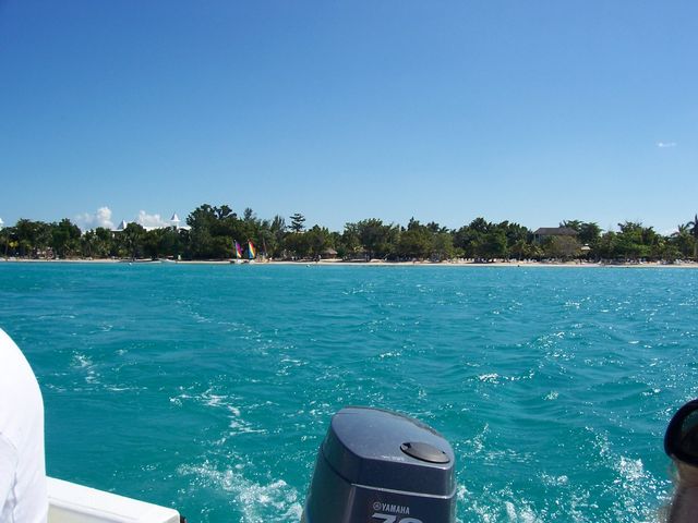Out To Sea 1