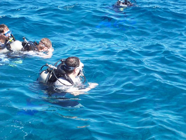 Perparing to Dive