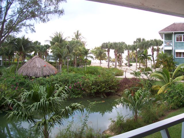 Balcony View 2
