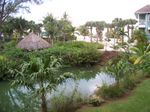 Balcony View 3