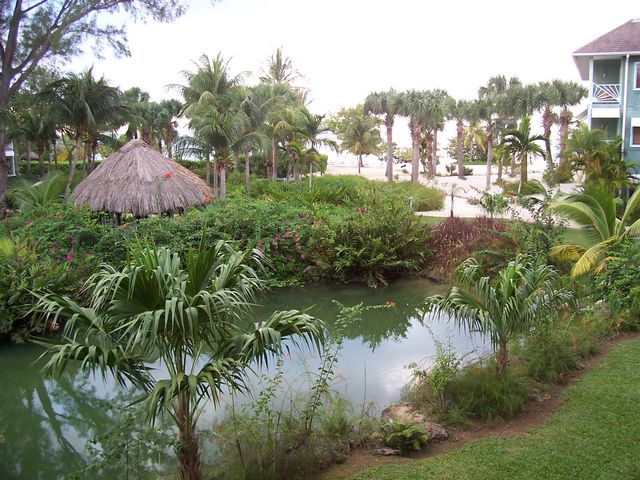 Balcony View 3