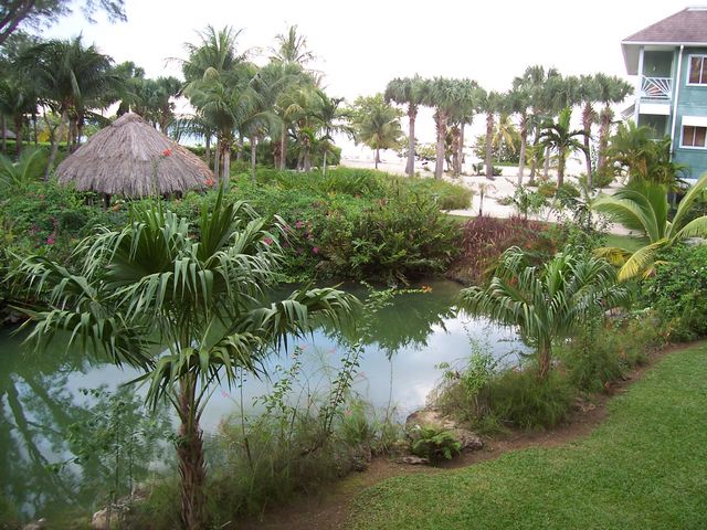 Balcony View 4