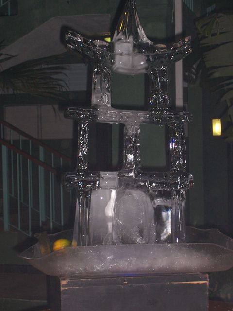 100_2338.JPG