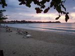 100_2288.JPG
