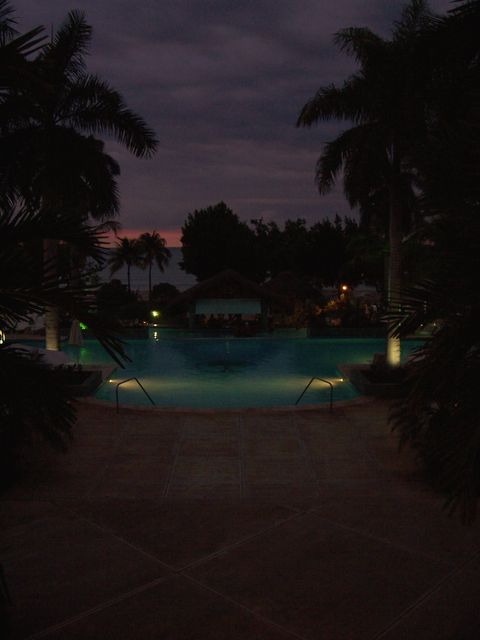 100_2324.JPG