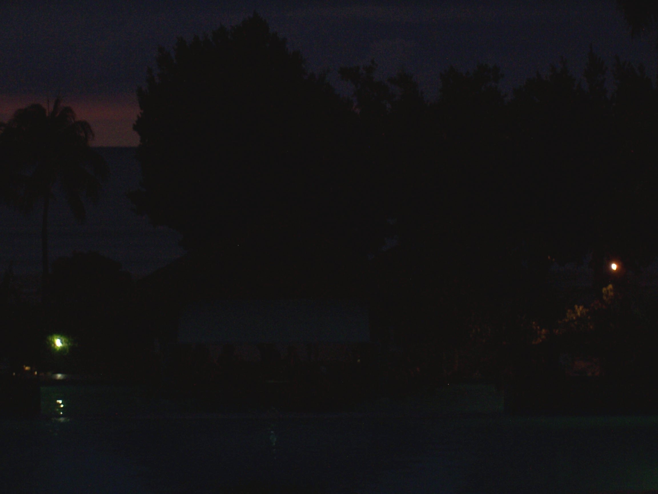 100_2325.JPG